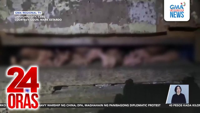 4 na bata, sinagip matapos ikulong ng sariling ina sa kanilang bahay; Depensa ng nanay, naghanap siya ng pera pantustos | 24 Oras