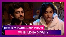 Bigg Boss 18 Episode Update: Avinash Mishra Accepts He Has 'Soft Corner' For Eisha Singh