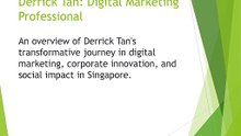 Derrick_Tan Wrise_Digital_Marketing_Presentation