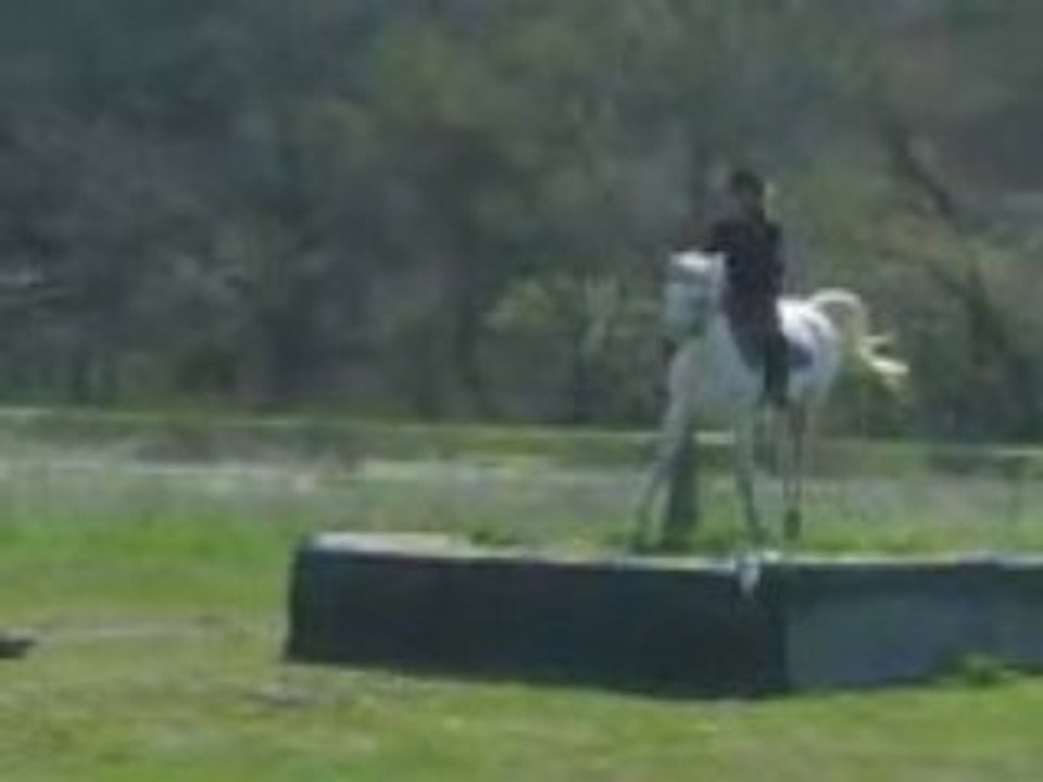 mon tit ange ke jaime