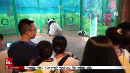 Panda Köyü'nün en küçük misafiri