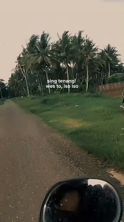 story wa keren