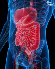 Vegetarian killers  Acharya Prashant