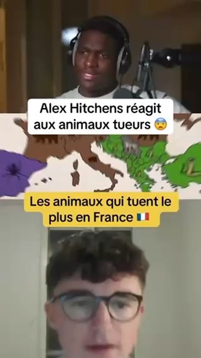 Alex Hitchens réagit aux animaux les plus tueurs