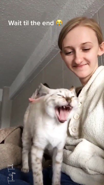 Pure Love