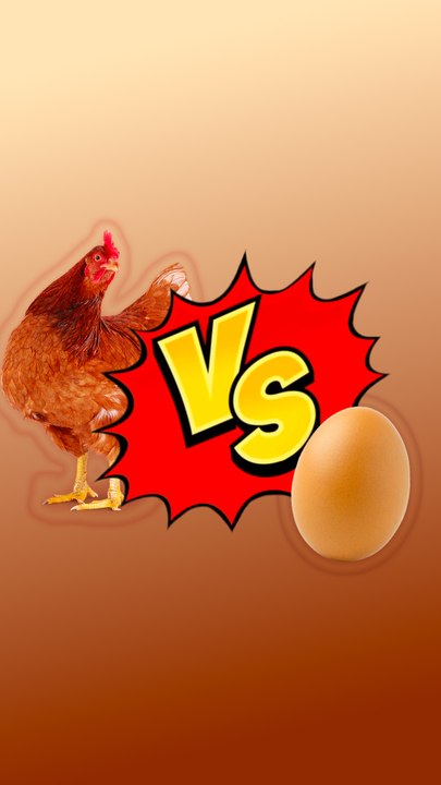 L’œuf ou la poule ? La science répond enfin !