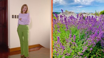 bd-combinacion-de-colores-inspirados-en-la-naturaleza-051224