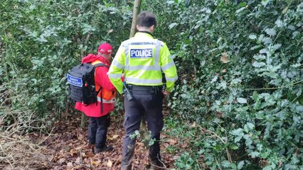 Search for John Taylor 2