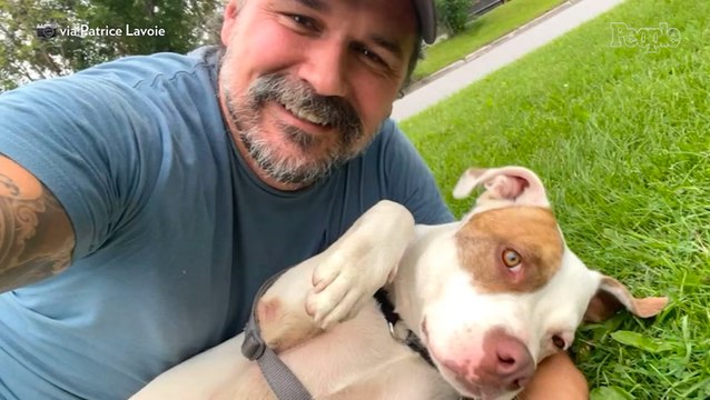 Man Adopts 'Beautiful' Dog from Shelter. 4 Months Later, the Original Owners Call Him (Exclusive)