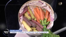 Votre assiette : Comment cuisiner les carottes pour se régaler ?