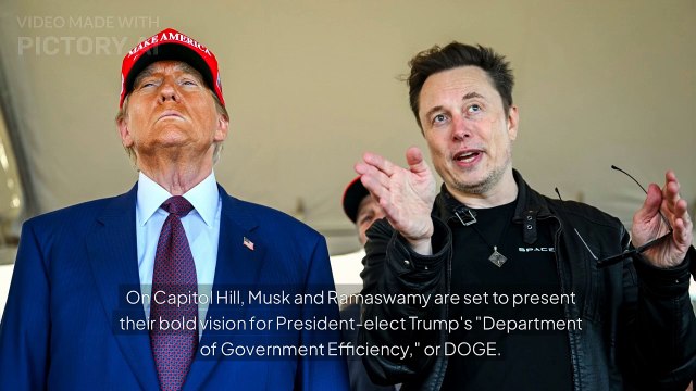 Elon Musk and Vivek Ramaswamy take their DOGE government efficiency pitch to the Hill