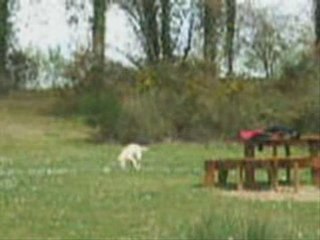 Fauxy au lac de jumiege !! D