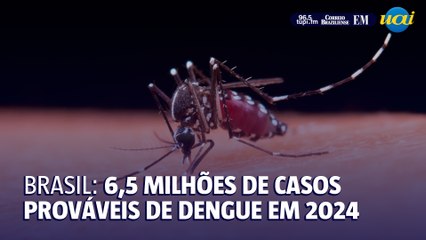 Brasil registra 6,5 milhões de casos prováveis de dengue em 2024