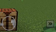 Minecraft lead