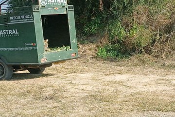 भाई रामगढ़ चला गया,  बहन जाएगी मुकुन्दरा