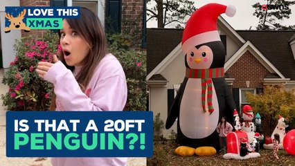 Husband buys HUGE inflatable Christmas penguin for family 🐧 | LOVE THIS!