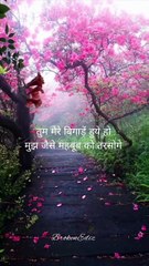 Beautiful Hindi Shayari Collection