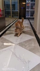 Mother is always a mother