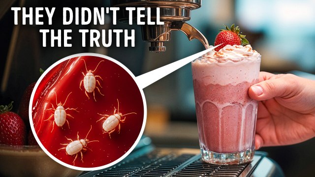 Myths You’ve Lived Your Whole Life Believing – Finally Debunked