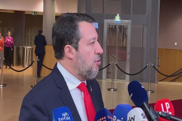 Auto, Salvini: "Ribera marziana, ma in Ue prevarrà il buon senso"