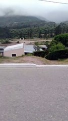 vid-20241208-wa0000.mp4