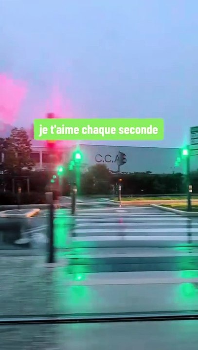 Je n'en aimerai jamais un autre comme je t'aime et je n'ai pas besoin de raison