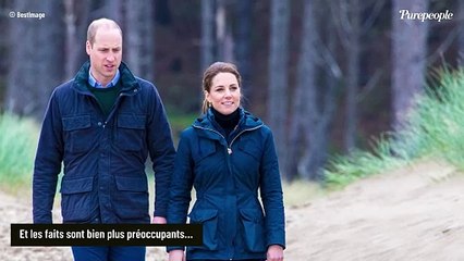 Après Kate et William, une autre figure royale ciblée et les faits sont bien plus préoccupants...
