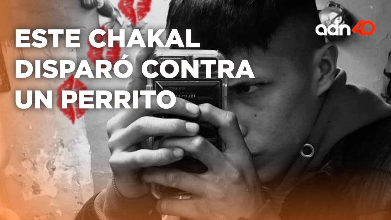 Buscan al delincuente que disparó contra un perro en Chalco; ¿cuál debería ser su castigo?