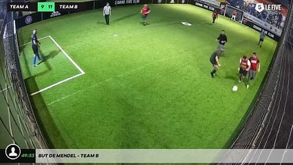 But de Mendel - Team B