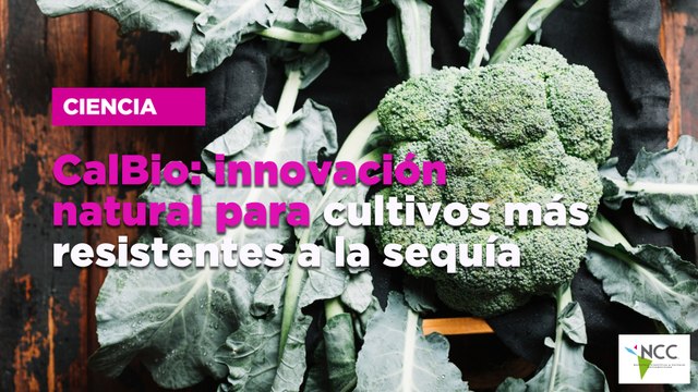 CalBio: innovación natural para cultivos más resistentes a la sequía