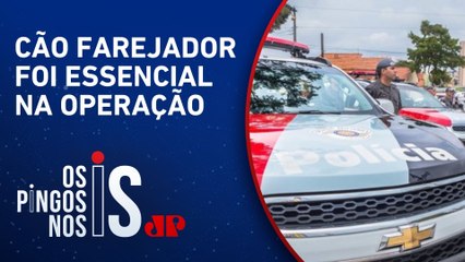 Polícia de SP realiza apreensão histórica de 3,2 toneladas de cocaína