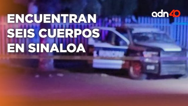 Encuentran otros seis cuerpos baleados en Sinaloa; la violencia no para