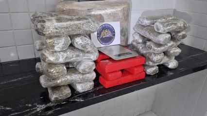 Polícia Militar apreende 20 quilos de capulho de maconha no Riviera