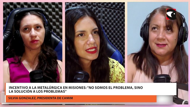 Incentivo a la metalúrgica en Misiones: “No somos el problema, sino la solución a los problemas”