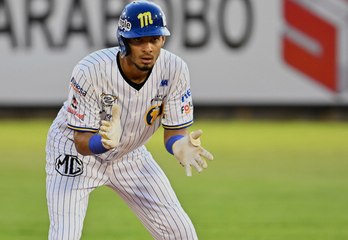 LVBP: Así vive Tucupita Marcano la rivalidad Caracas-Magallanes