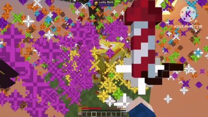 Lucky Blocks of Fortune - December 31, 2008