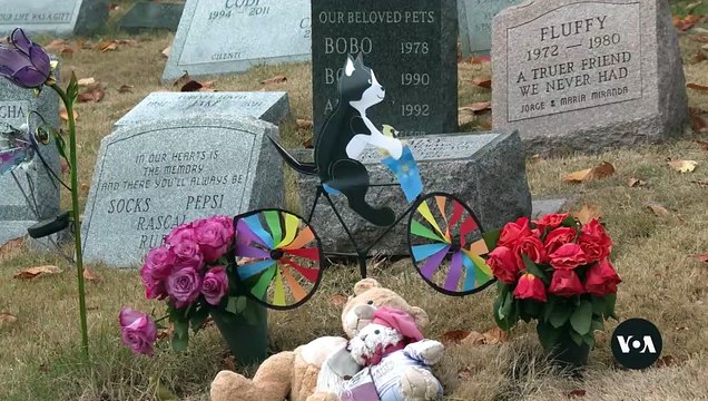 Hartsdale Pet Cemetery: Honoring Beloved Pets and Their Owners