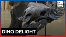 New York museum unveils newest fossil find