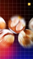 Top 5 Protein Foods For Building Muscle ! 💪🏻✅💯