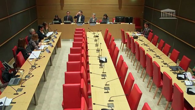 Violences commises dans les secteurs artistiques et médiatiques : Audition de représentants du groupe M6 - Jeudi 5 décembre 2024