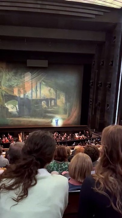 Huées : La première du ballet Paquita a mal tourné hier soir à l'Opéra Bastille à Paris, avec l'annulation de la représentation pour cause de grève alors que les spectateurs étaient déjà installés