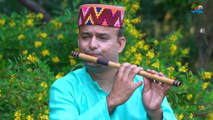 Flute cover ! Himalya Flute