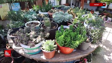 Hatay'da 500'ten fazla farklı çiçek yetiştirmeyi başardı