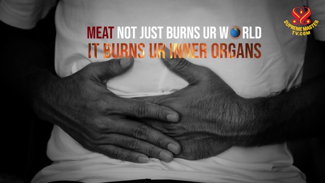 Meat not just burns ur world, it burns ur inner organs. Save ur life B vegan, man!