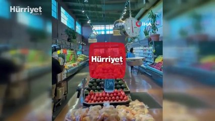 ABD’nin California eyaleti açıklarındaki deprem anı kamerada