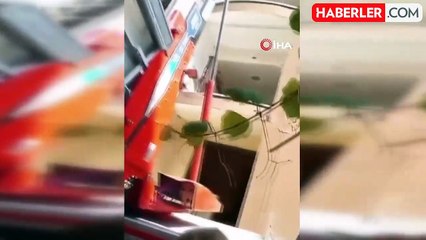 Ağır Hasarlı Binadan Yavru Köpeği Kurtaran Hayvansever