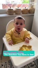 Baby's First Lemon Taste Is Too Funny to Handle!