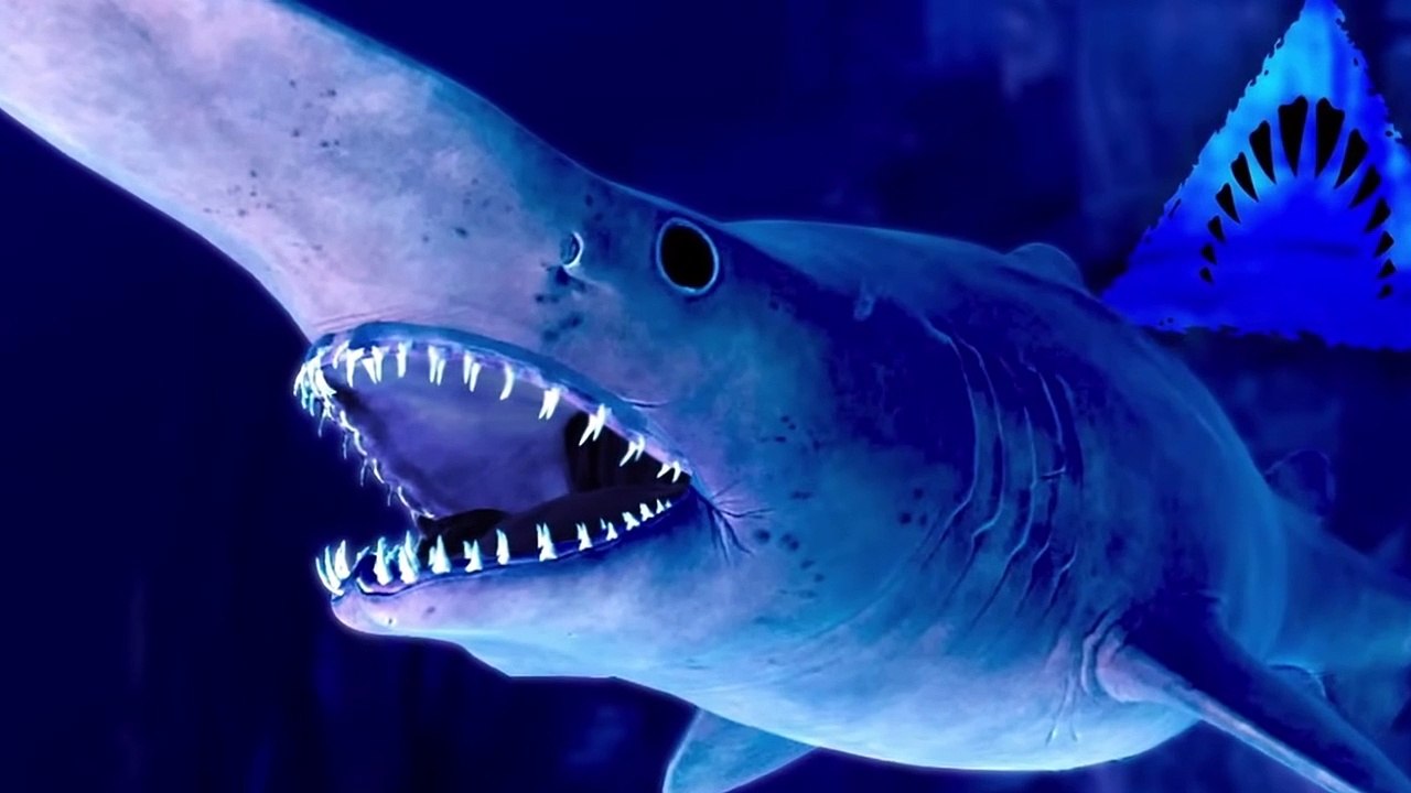 Bizarre Creatures Found Deep in the Ocean