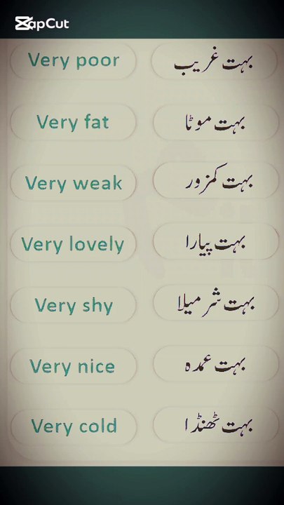 English Daily use Sentences