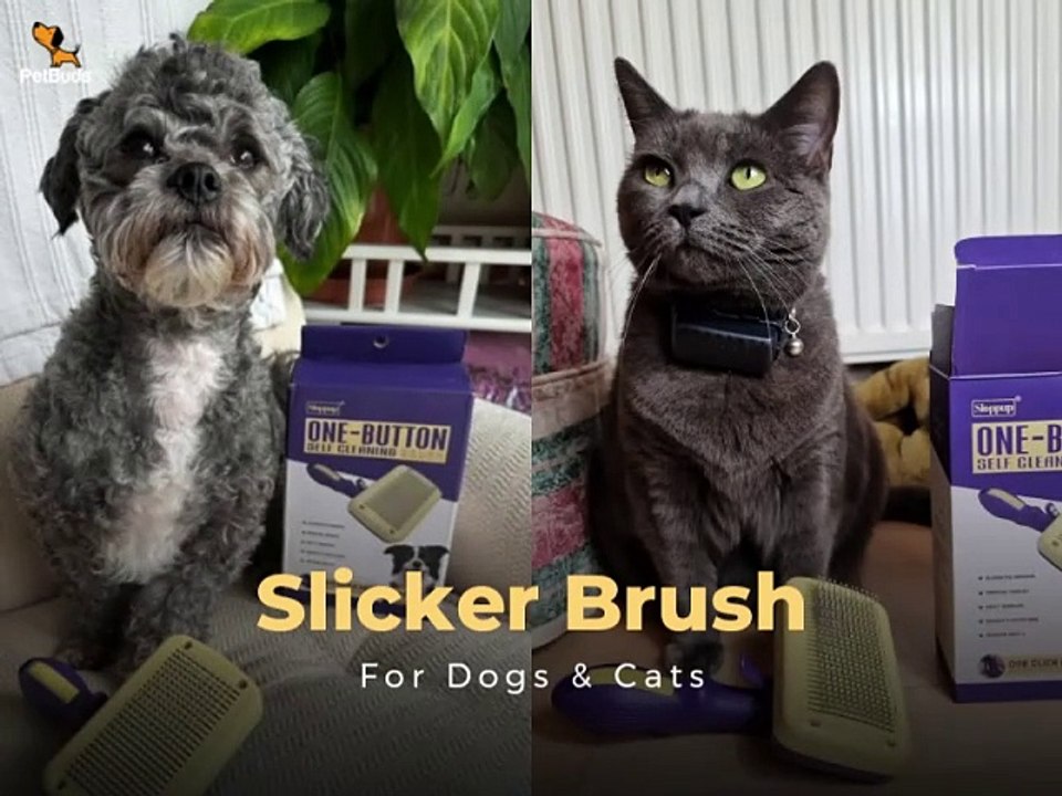 Self-Cleaning Slicker Dog Grooming Brush for Dogs and Cats